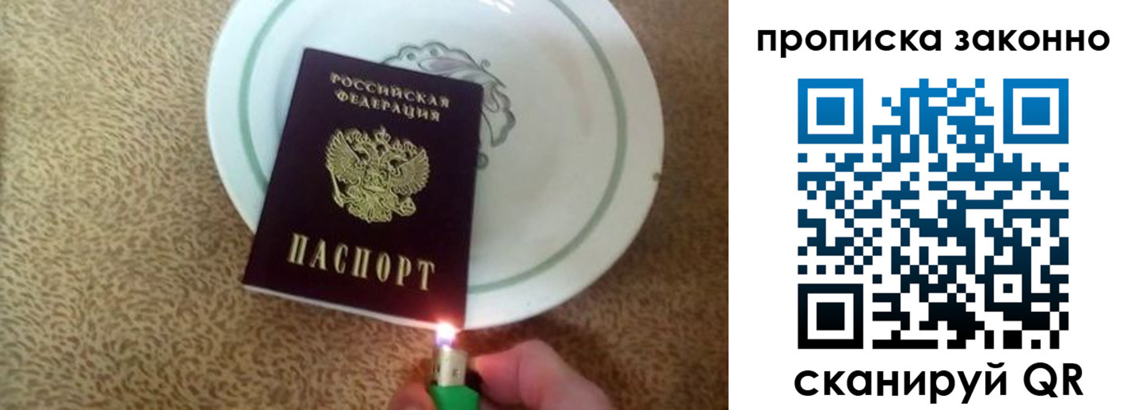 прописка поиск в Шебекино